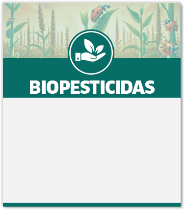 La imagen no esta disponible